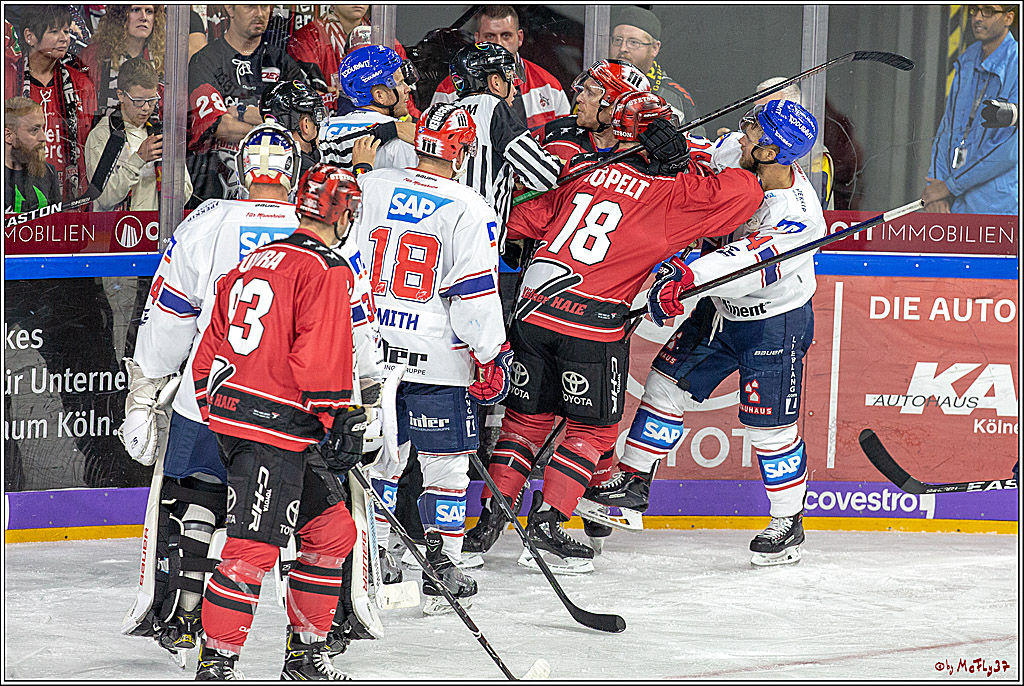 DEL; Koelner Haie - Adler Mannheim, 14.10.2018